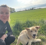 Dorottya