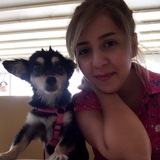 Gonca