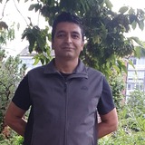 Gholam