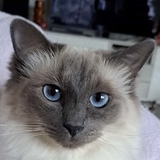 Melanie