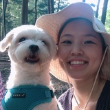 Suji