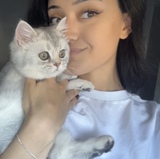 Selin
