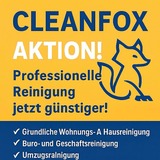 Cleanfox-Hausservis
