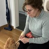 Nilüfer