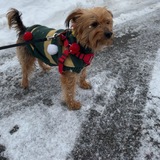Tatiana