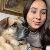 Katerina