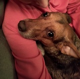 Carlos