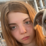 Ginevra