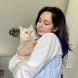 Zehra