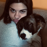Elisa