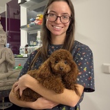 Chiara