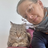 Sybille