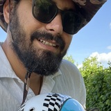 Maged