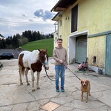 Joachim