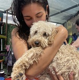 Ceren