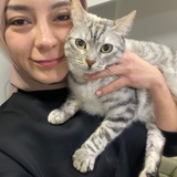 Büsra Nur