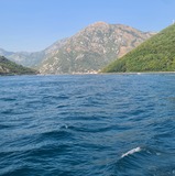Mirna