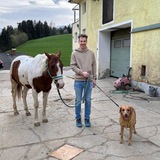 Joachim
