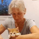 Antje