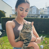 Betül
