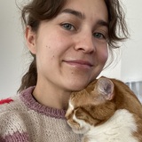 Lina