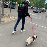 Luca