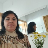 Ineldi