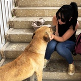 Merve