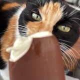 Elke