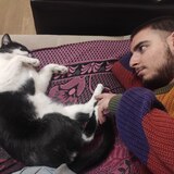 Hayk