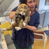 Cristina