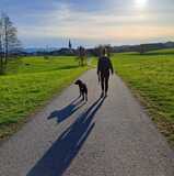 Annelie