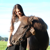Aldina