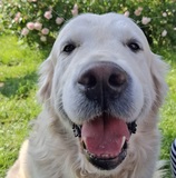 Ralf
