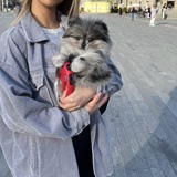 Kim
