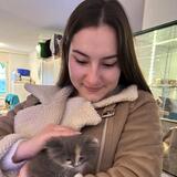 Katia