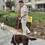 Mustafa Turan