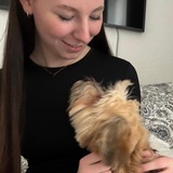 Pia