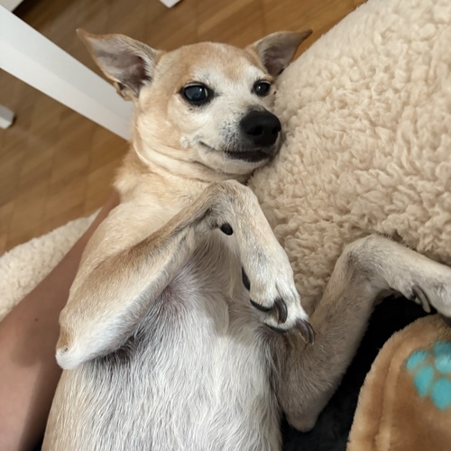 Photo of Darla