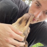 Luca