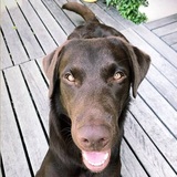 Sandra