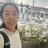 Zaida