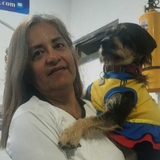 María