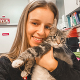 Catarina