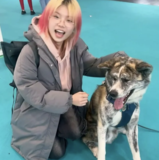 Shuyu