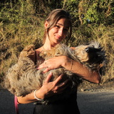 Lola