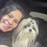 Cleia