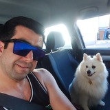 Vahid