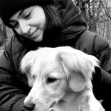 Yonca