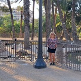 Isabel